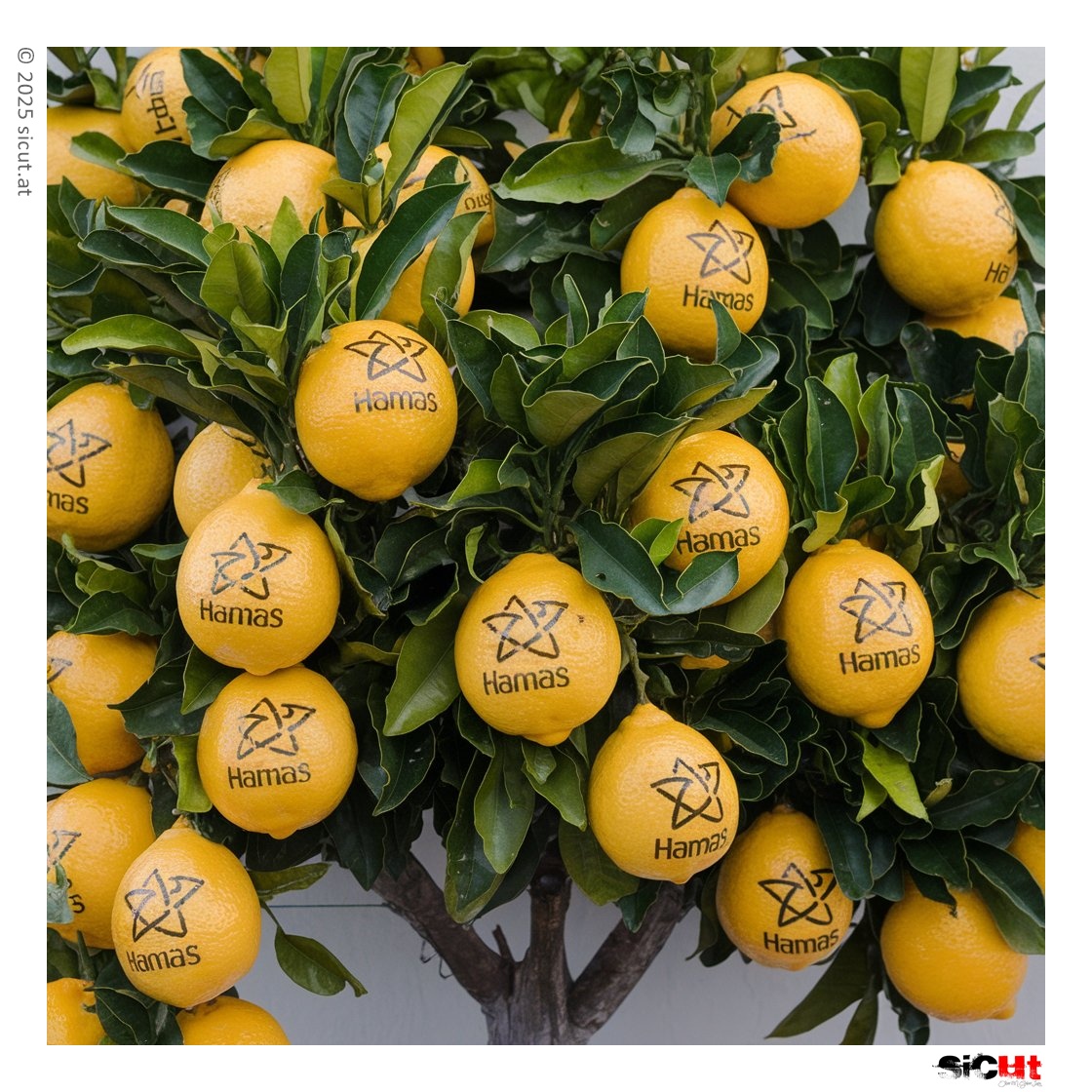 Die Früchte des 7. Oktober